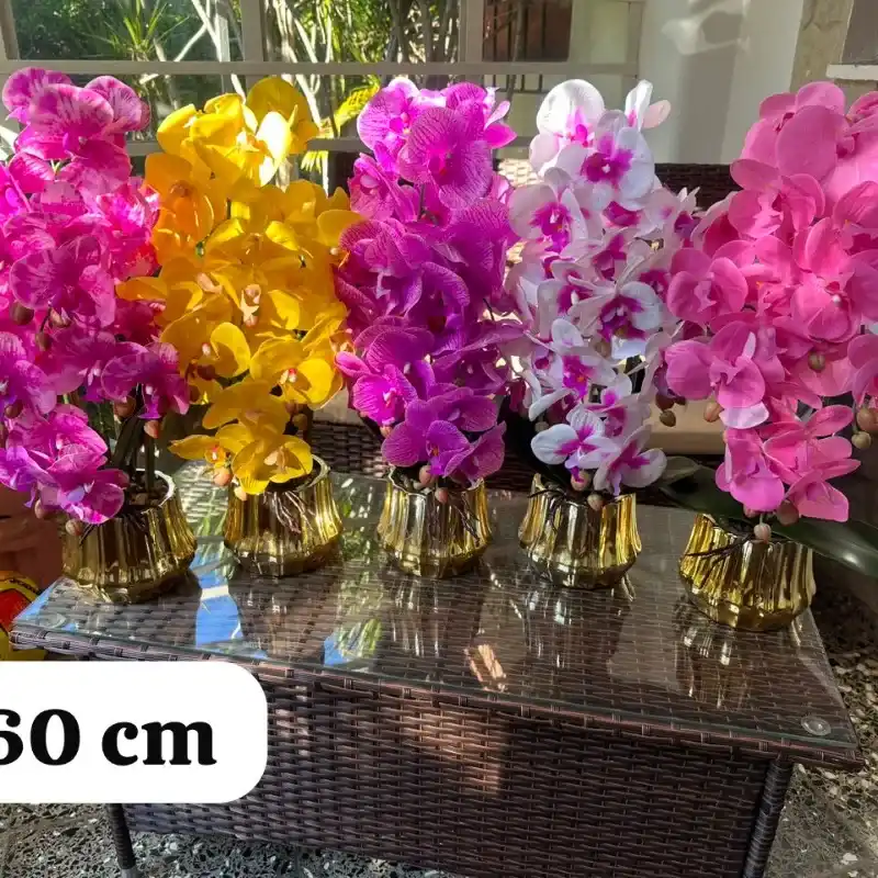 Orquídeas 60 cm