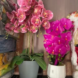 Orquídeas artificiales 