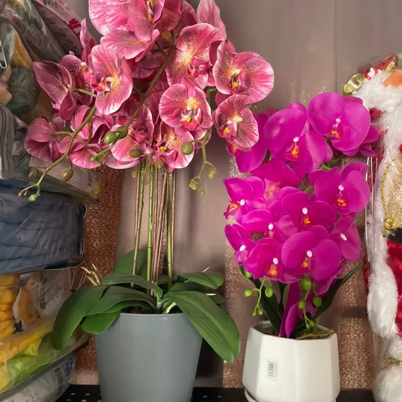 Orquídeas artificiales 