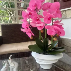 Orquíeas artificiales 