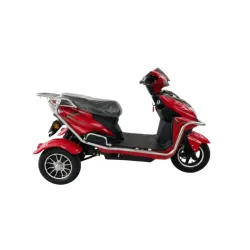 MOTO ELÉCTRICA 3 RUEDAS RALI