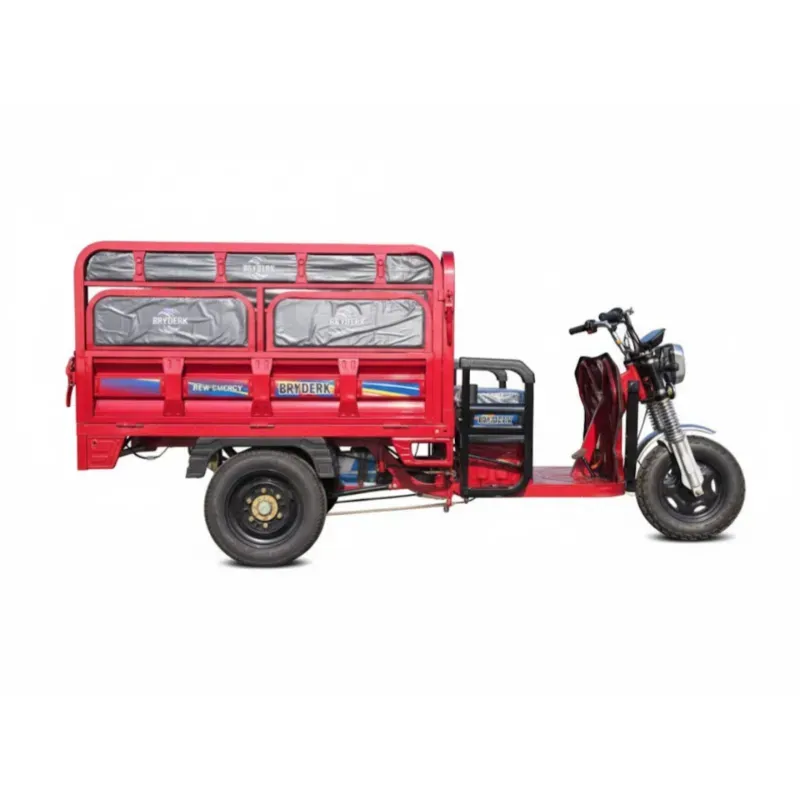 TRICICLO ELÉCTRICO BRYDERK-TOPMAQ