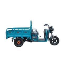 TRICICLO RALI CARGO