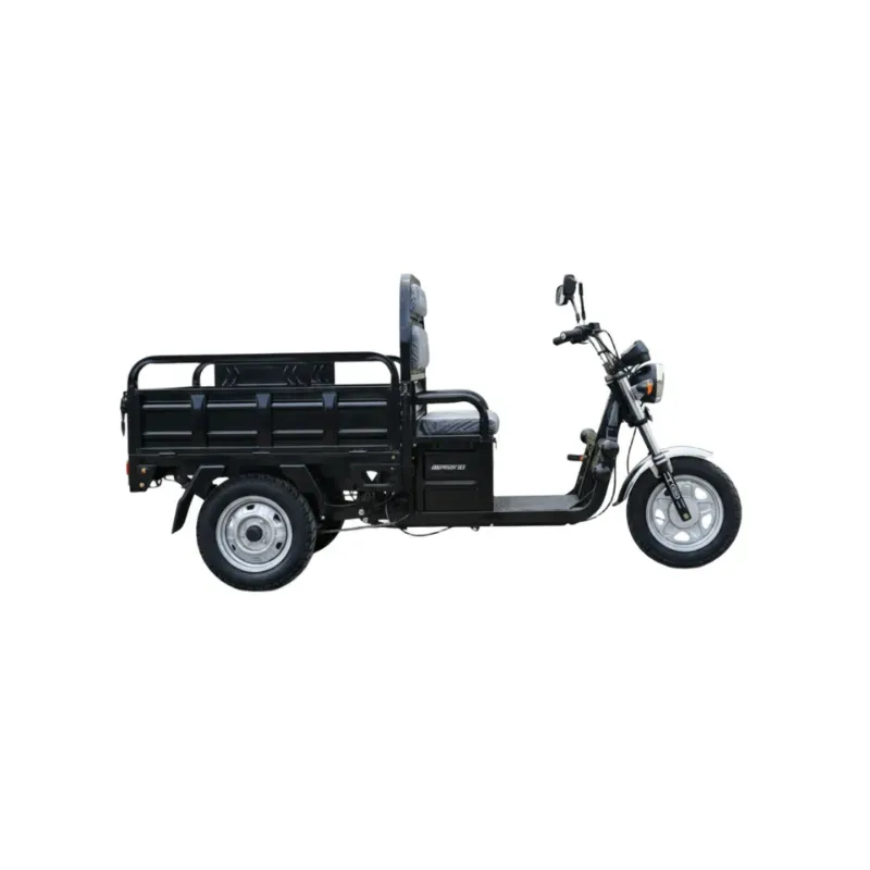 TRICICLO ELÉCTRICOS NIPPON SE