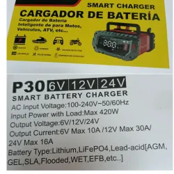 Cargador para batería