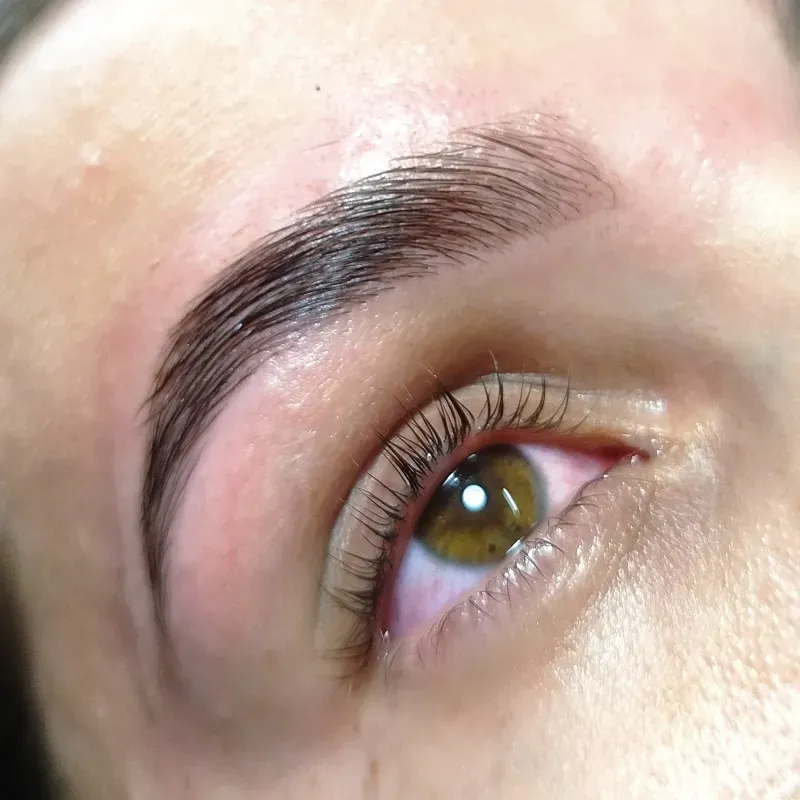 Laminado de cejas 