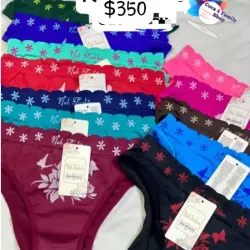 Blumers diseño No.2