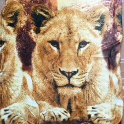 Colcha Antialérgica Camera Mod. 4