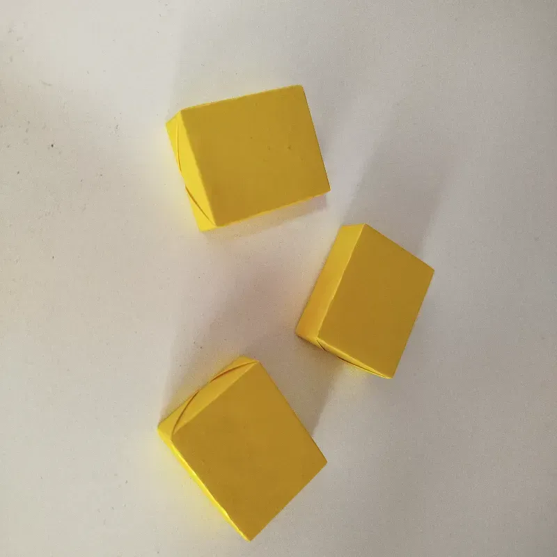 CUADRITO DE POLLO CON TOMATE