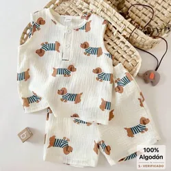 Conjunto
