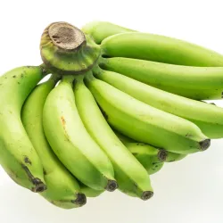 PLATANO MACHO POR RACIMOS