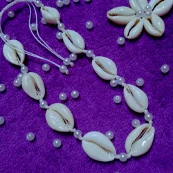 Collar de conchas o caracoles 