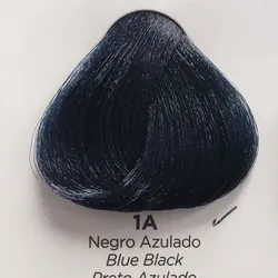 01N Negro Azul
