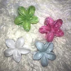 Ganchos Grandes de flor hawaiana 