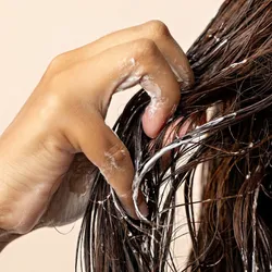 Tratamiento Pulpa de coco