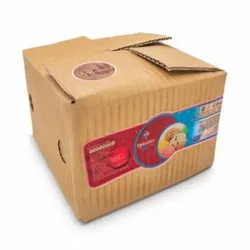 Caja de Helado Cid 4L