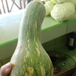 Calabaza * lb
