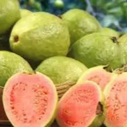 Guayaba Paquete de 2lb