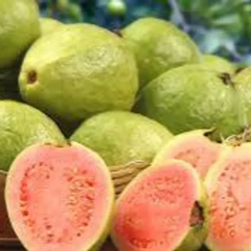 Guayaba Paquete de 2lb