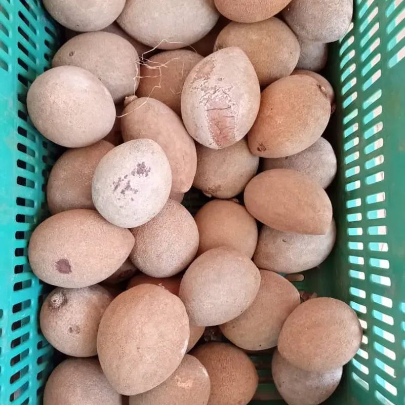 Mamey x Unidad