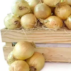 Cebolla Importada 