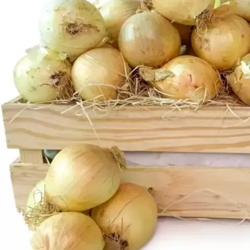 Cebolla Importada 
