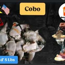 Cobo Grande 