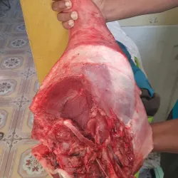 Pierna de Cerdo 