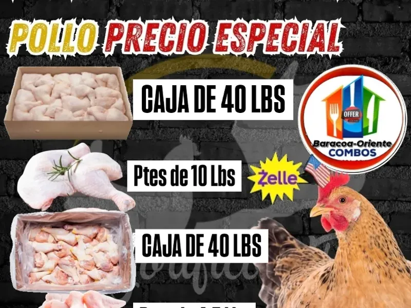 Pollo