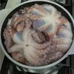 Pulpo