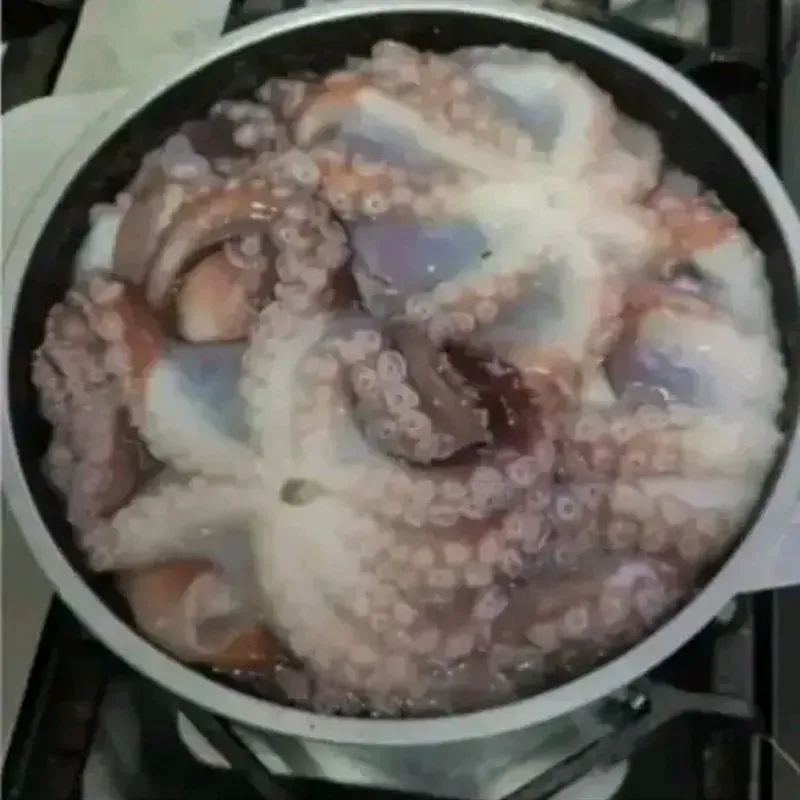 Pulpo