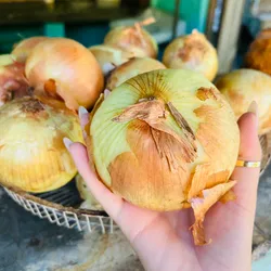 Cebolla 🧅 importada 1 libra 