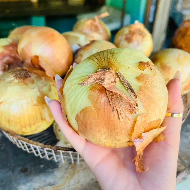 Cebolla 🧅 importada 