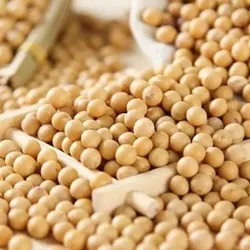 Chicharo cubano 5 Lbs