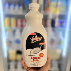 Yogurt lactose free