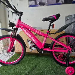 Bicicleta Silver Bike '20 con disco