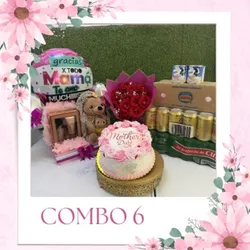 Combo 6