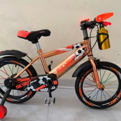 Bicicleta Silver Bike '20 sin disco