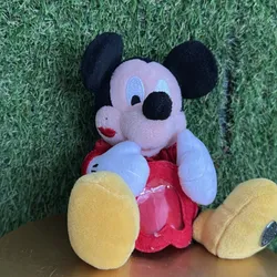 Mickey de amor