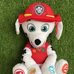 Paw patrol