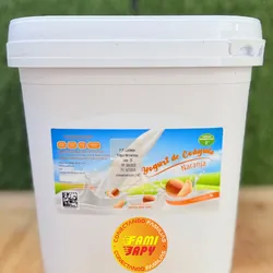YOGURT PROBIÓTICO NARANJA