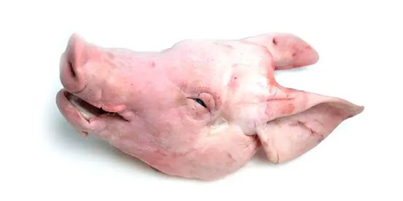 Cabeza de Cerdo
