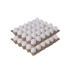 Huevos Blancos