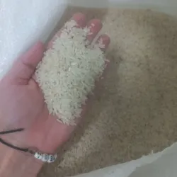 Arroz 