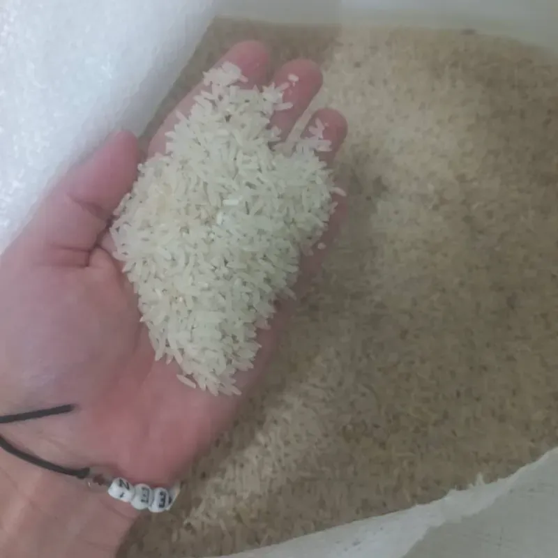 Arroz 