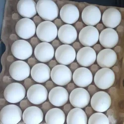Huevos 