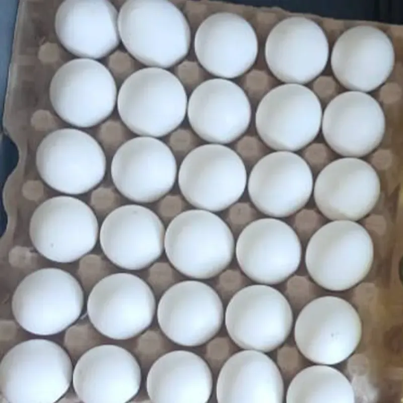 Huevos 