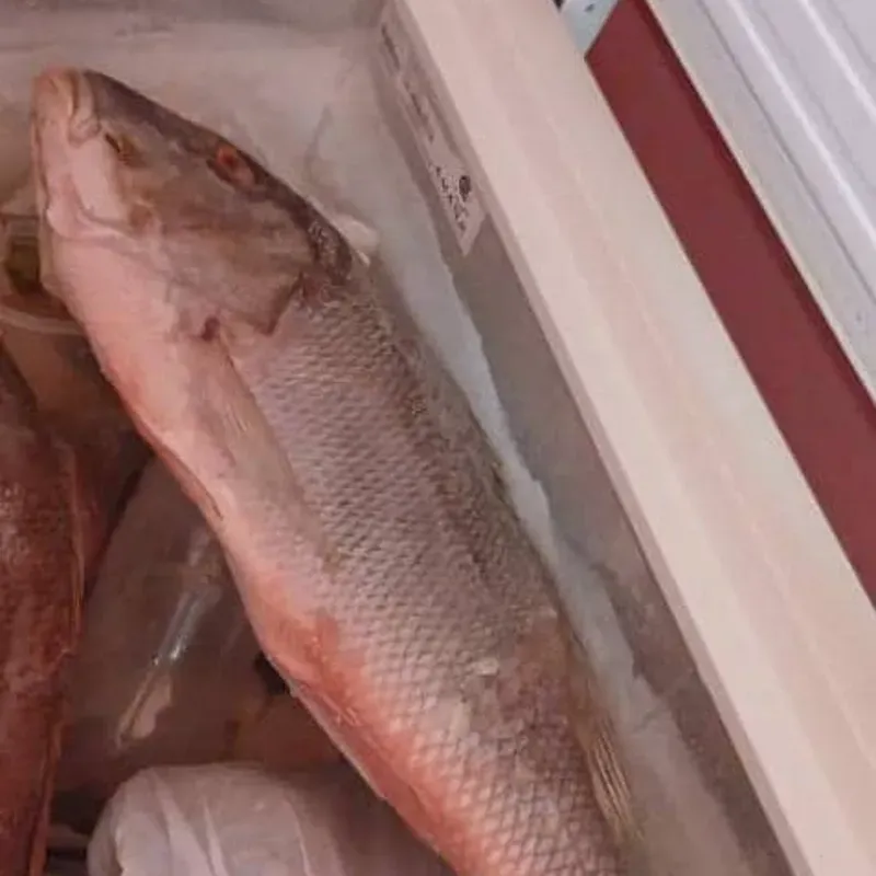 Pescado entero 