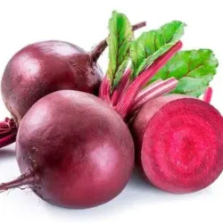 Remolacha