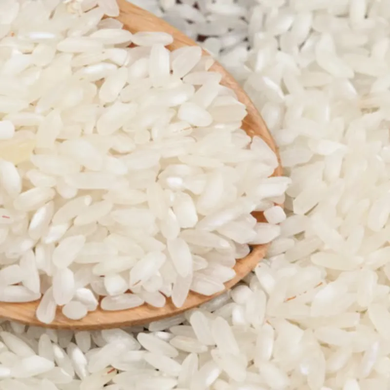 Arroz 